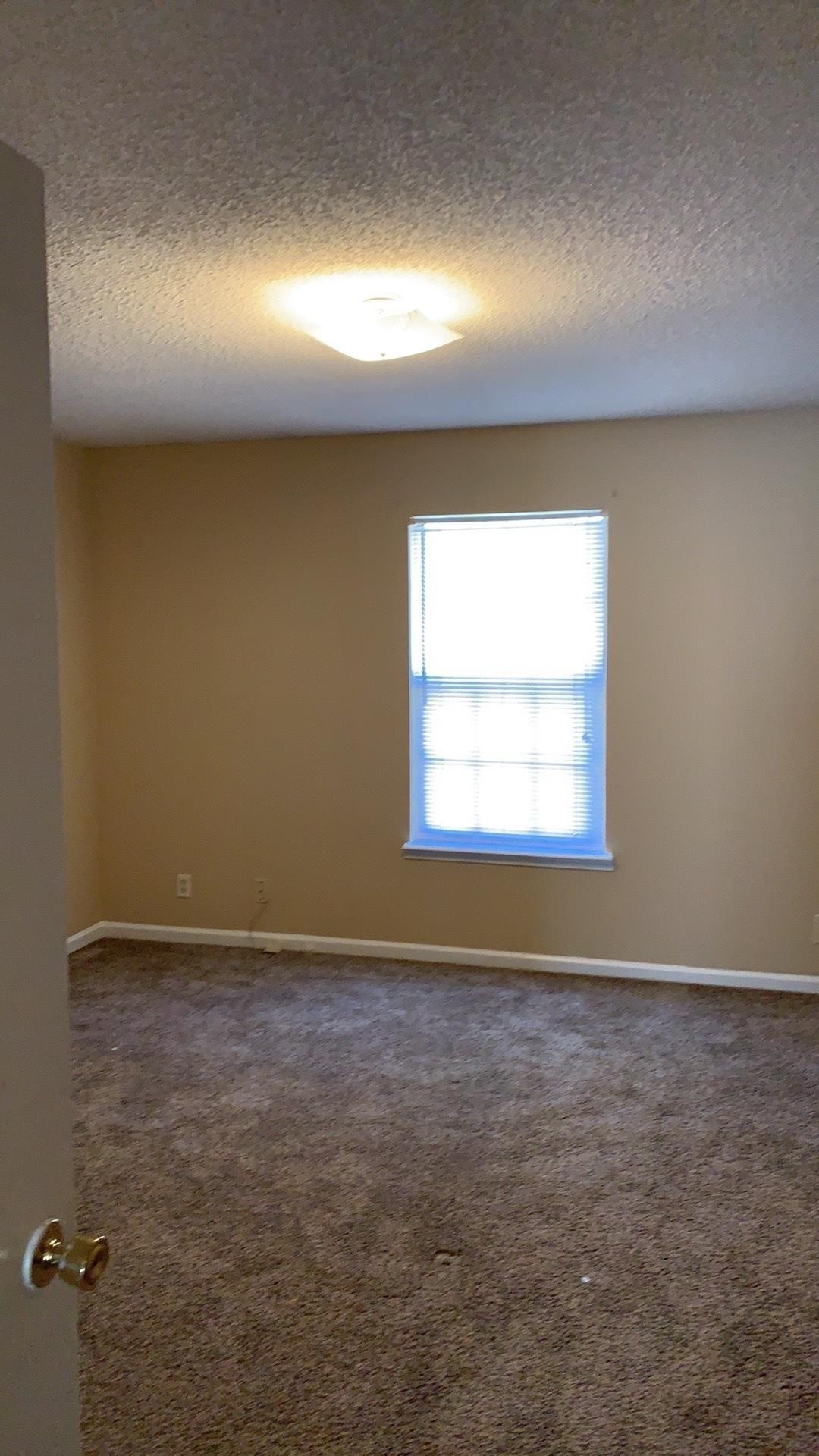111 Hickory Trace Property Photo 9