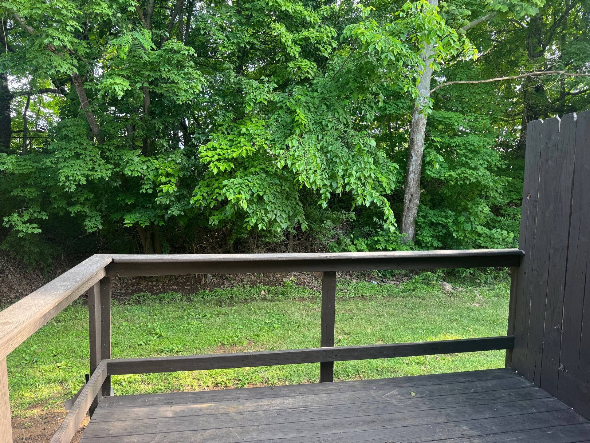 111 Hickory Trace Property Photo 10