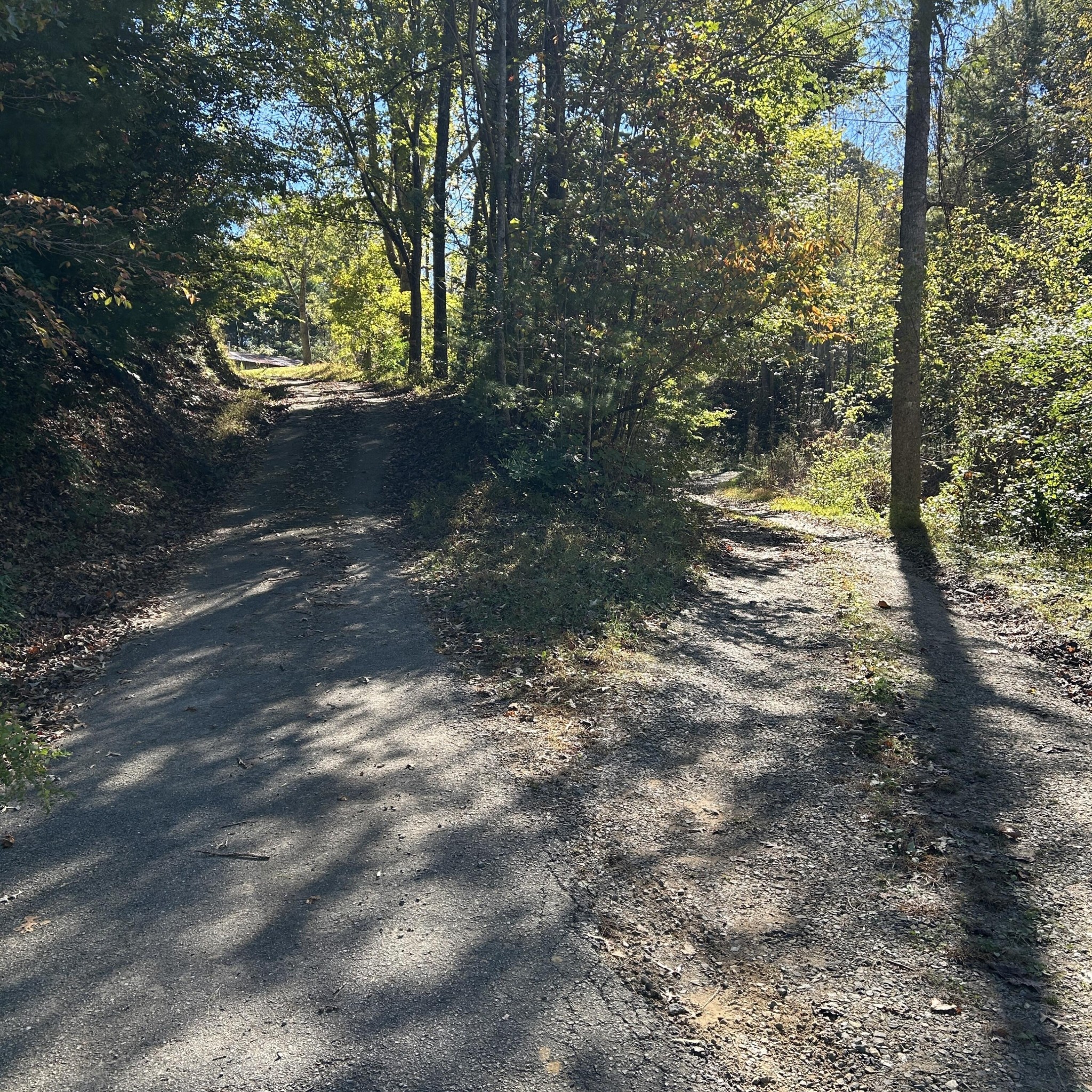 6544 Highway 68 Property Photo 1