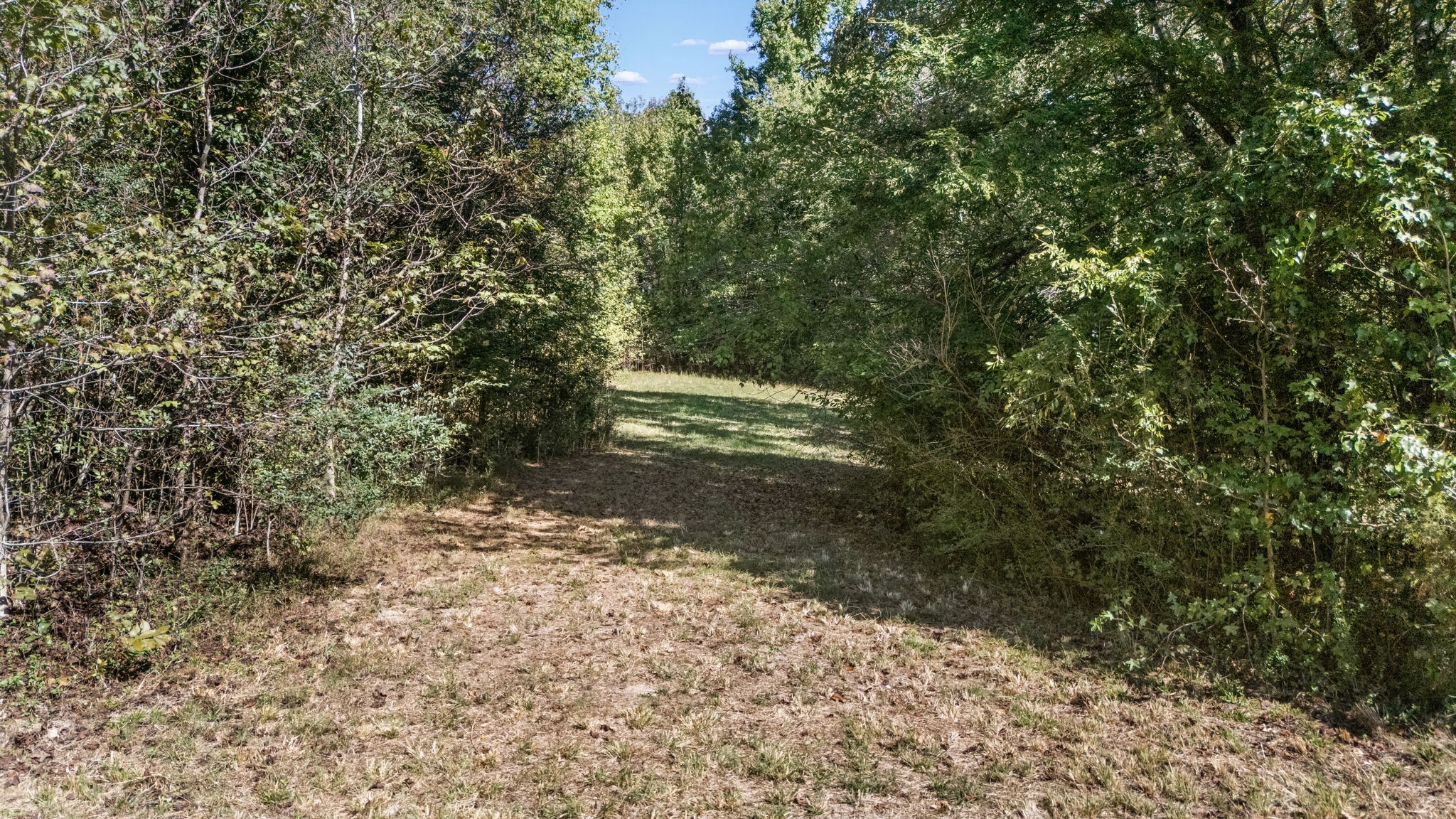 44 Crystal Springs Rd Property Photo 68