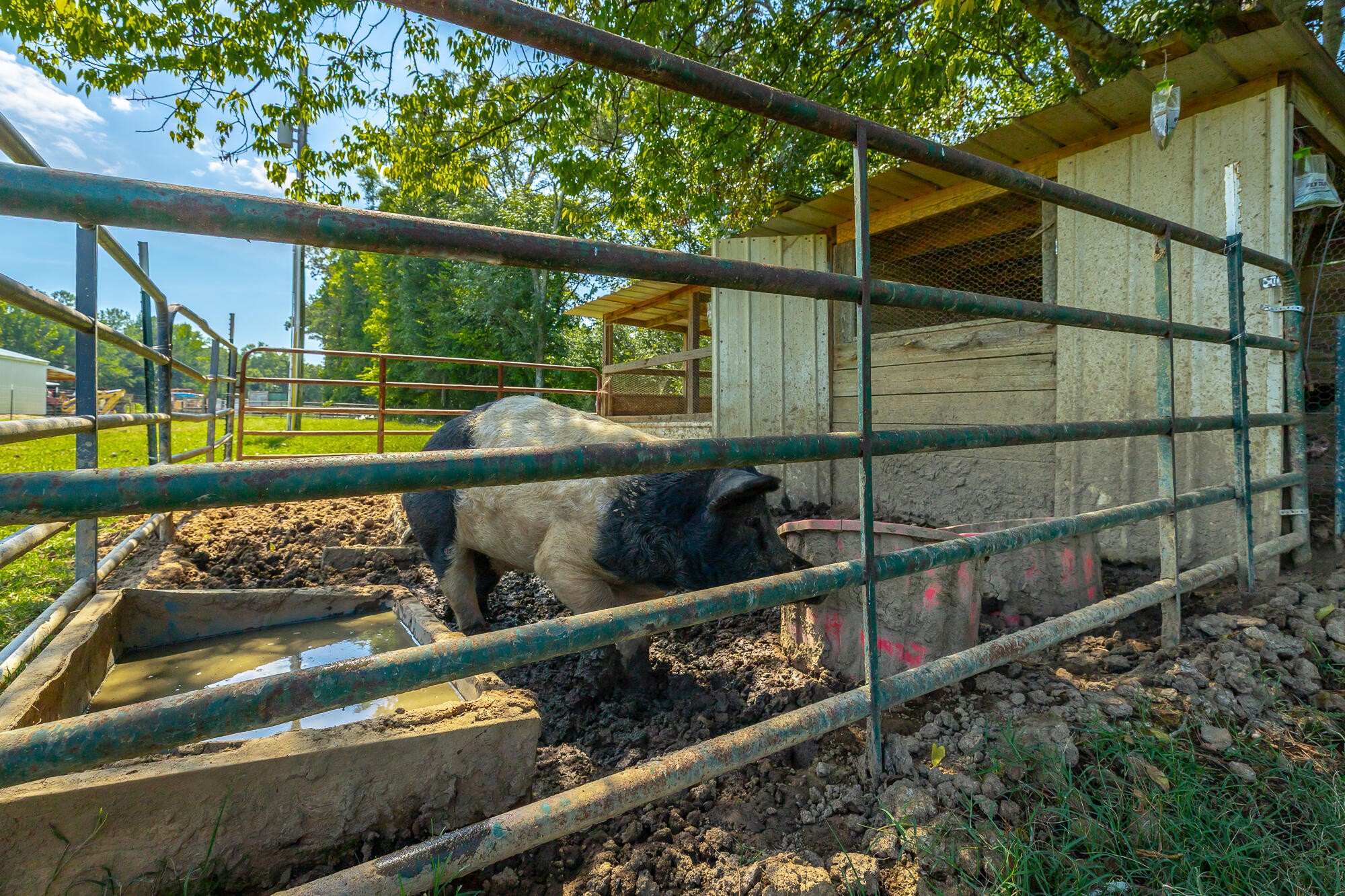5605 Al 68 Property Photo 61