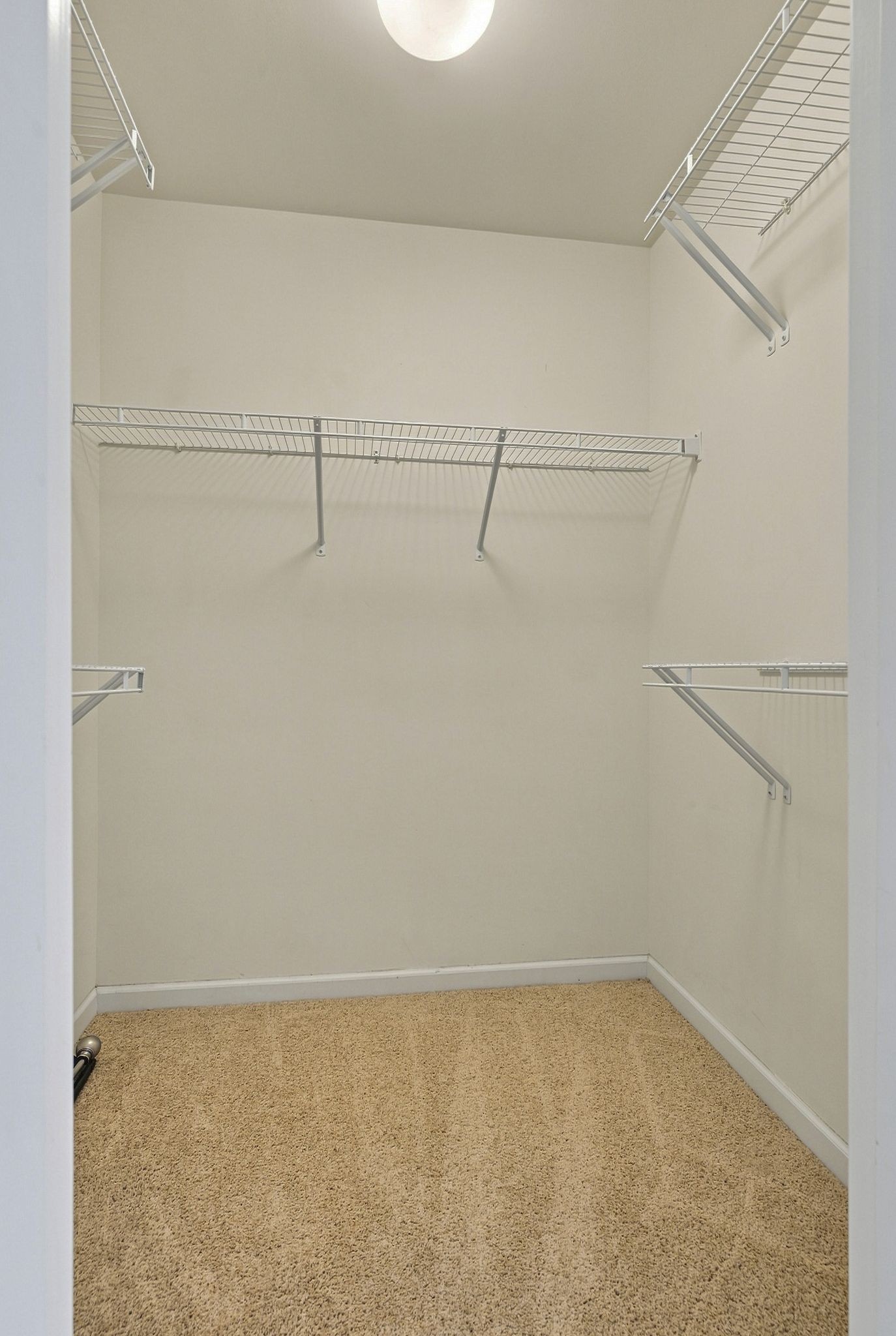 3014 Friars Trl Property Photo 21