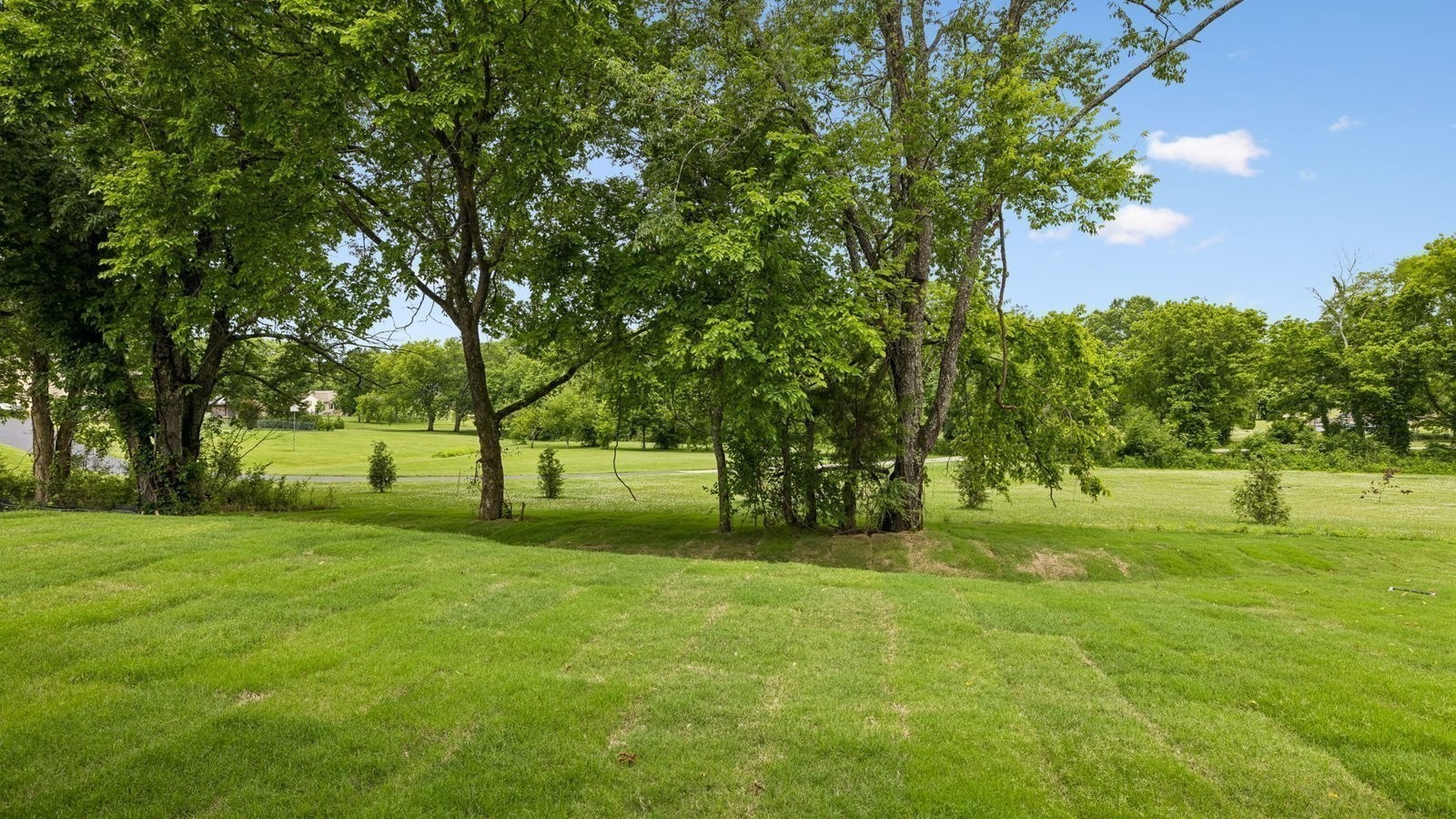 329 Harvest Point Blvd Property Photo 64