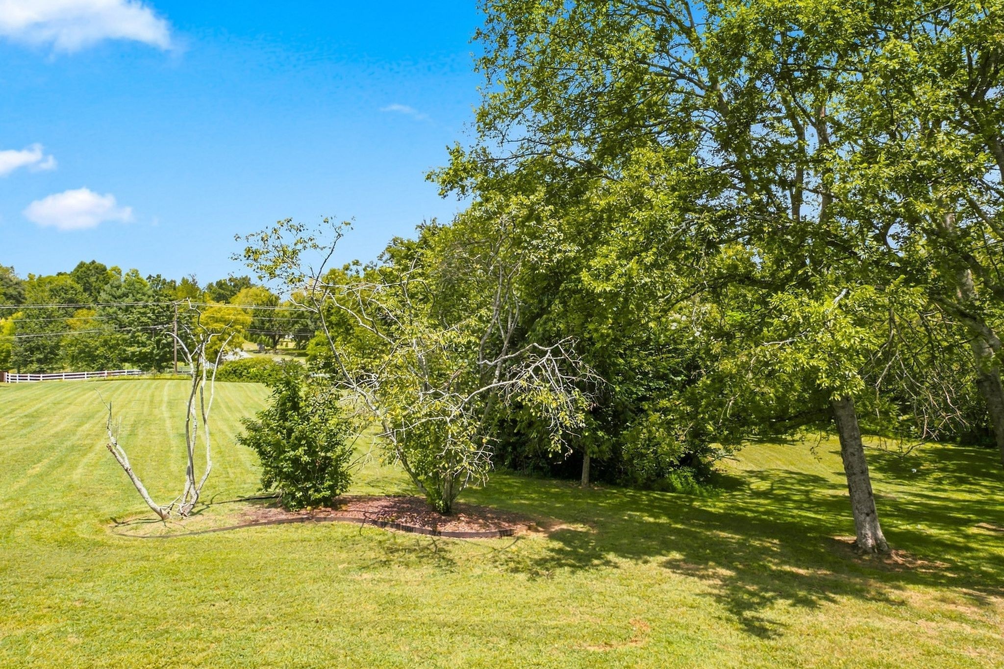 1115 Jensen Ln Property Photo 33