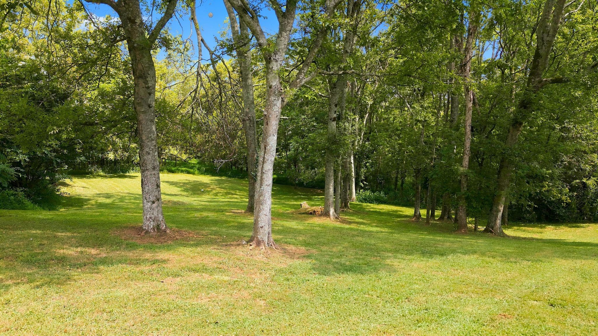 1115 Jensen Ln Property Photo 36