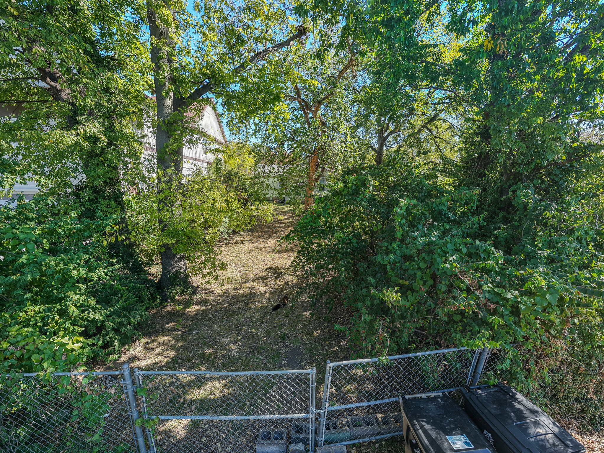1221 14th Ave, S Property Photo 7