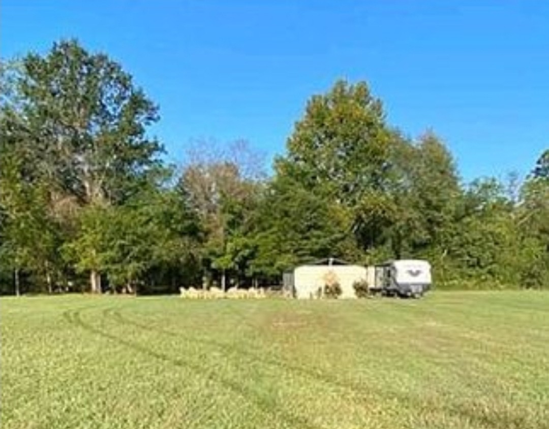 3885 Highway 231, S Property Photo 57