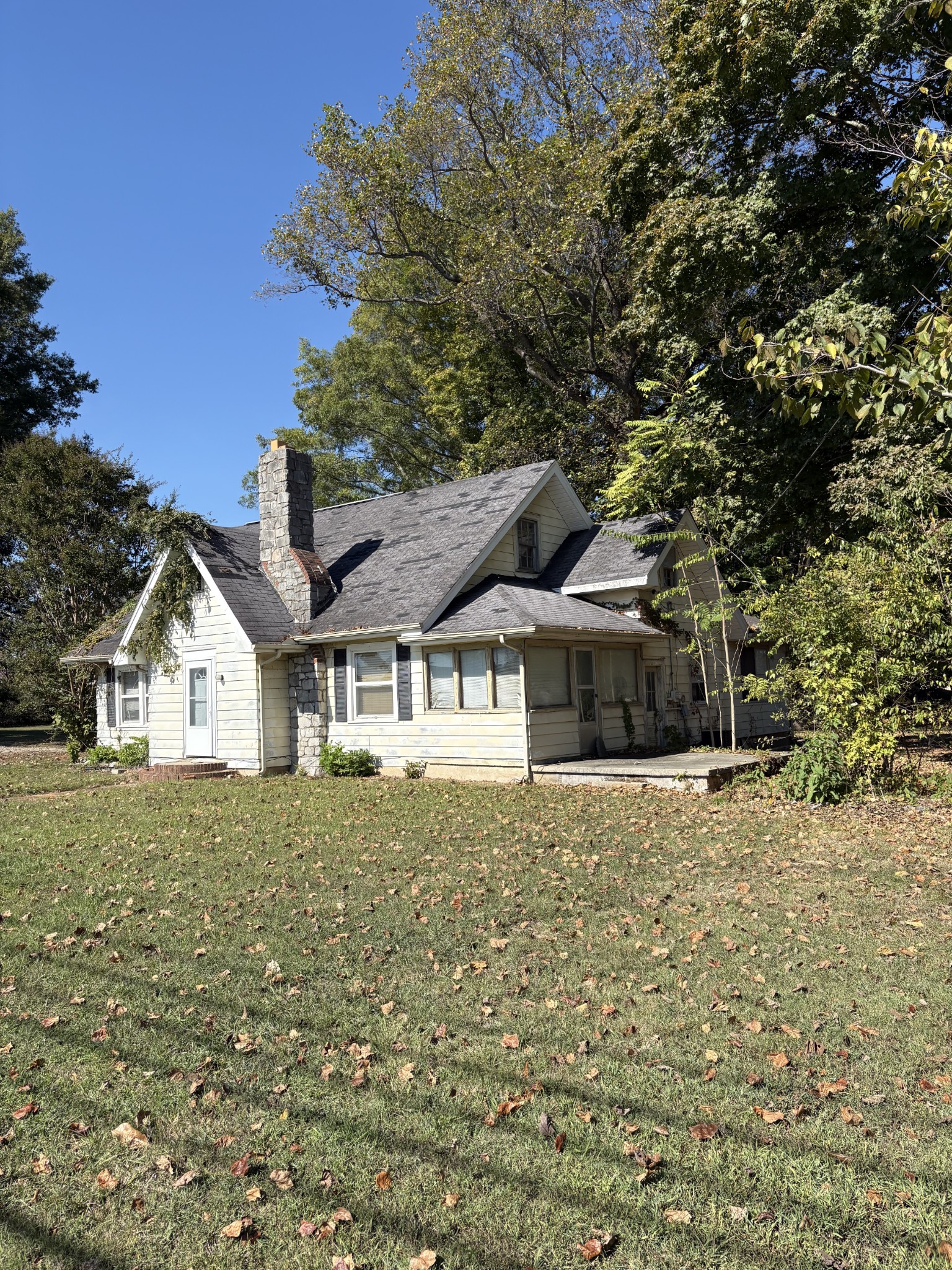 313 Cumberland St, W Property Photo 4