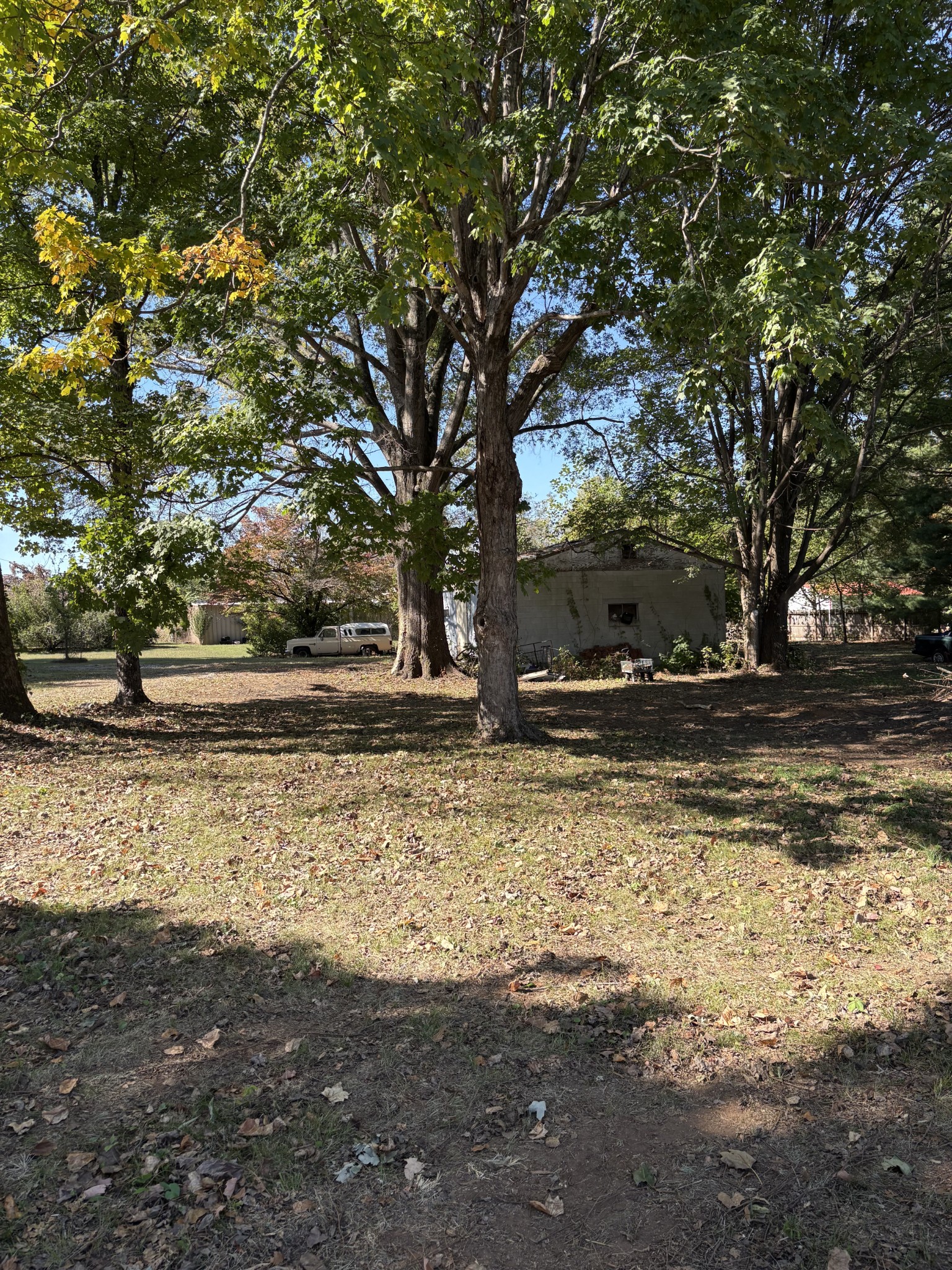 313 Cumberland St, W Property Photo 11