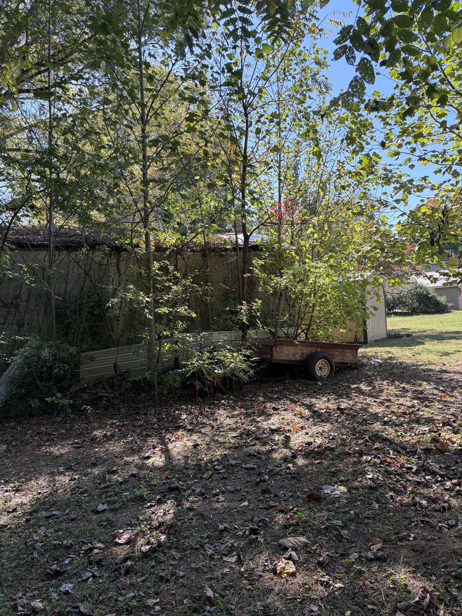 313 Cumberland St, W Property Photo 16