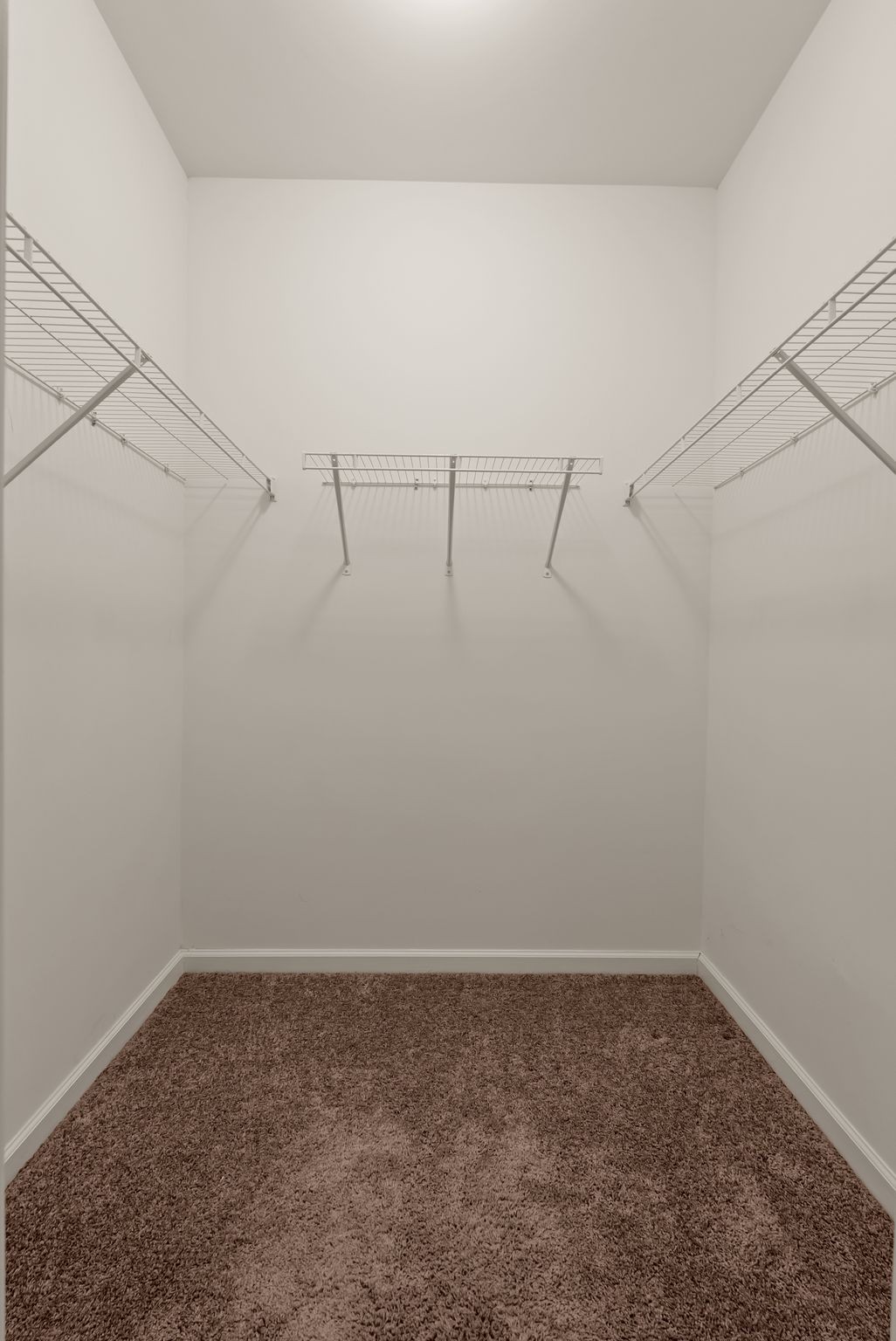 1068 Ambling Way Property Photo 37