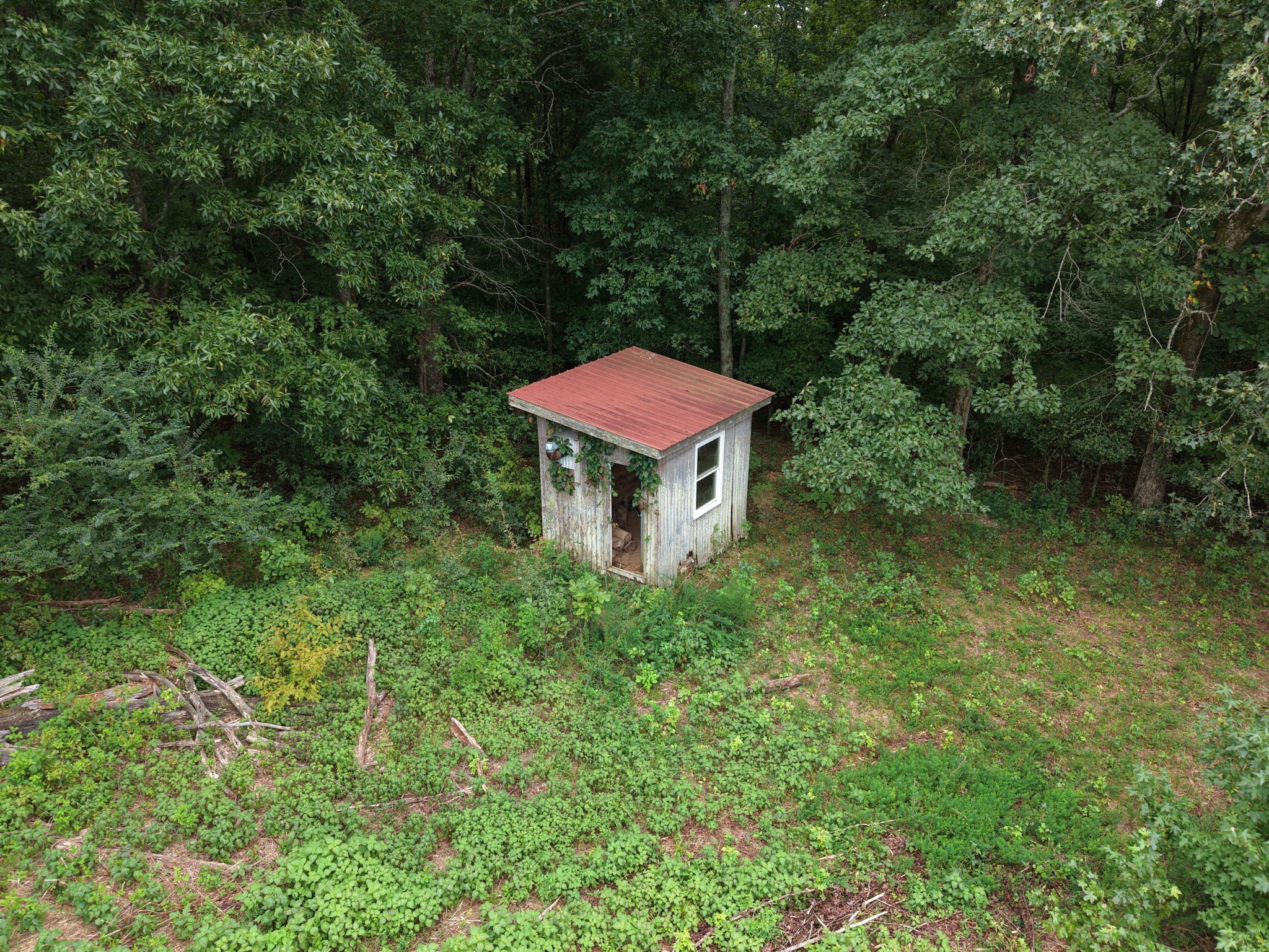 224 Ed Harris Rd Property Photo 3