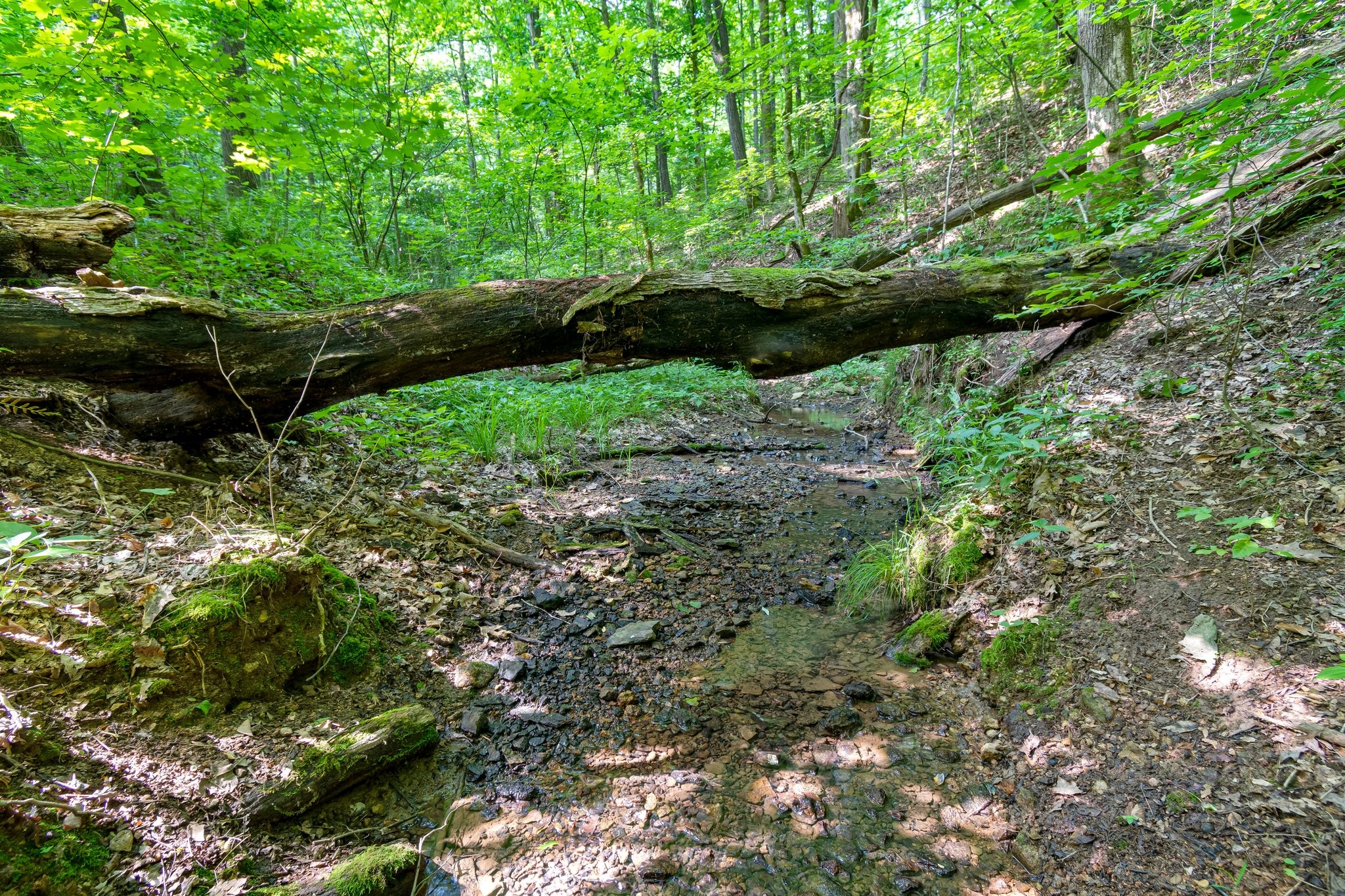 0 Smith Hollow Road Property Photo