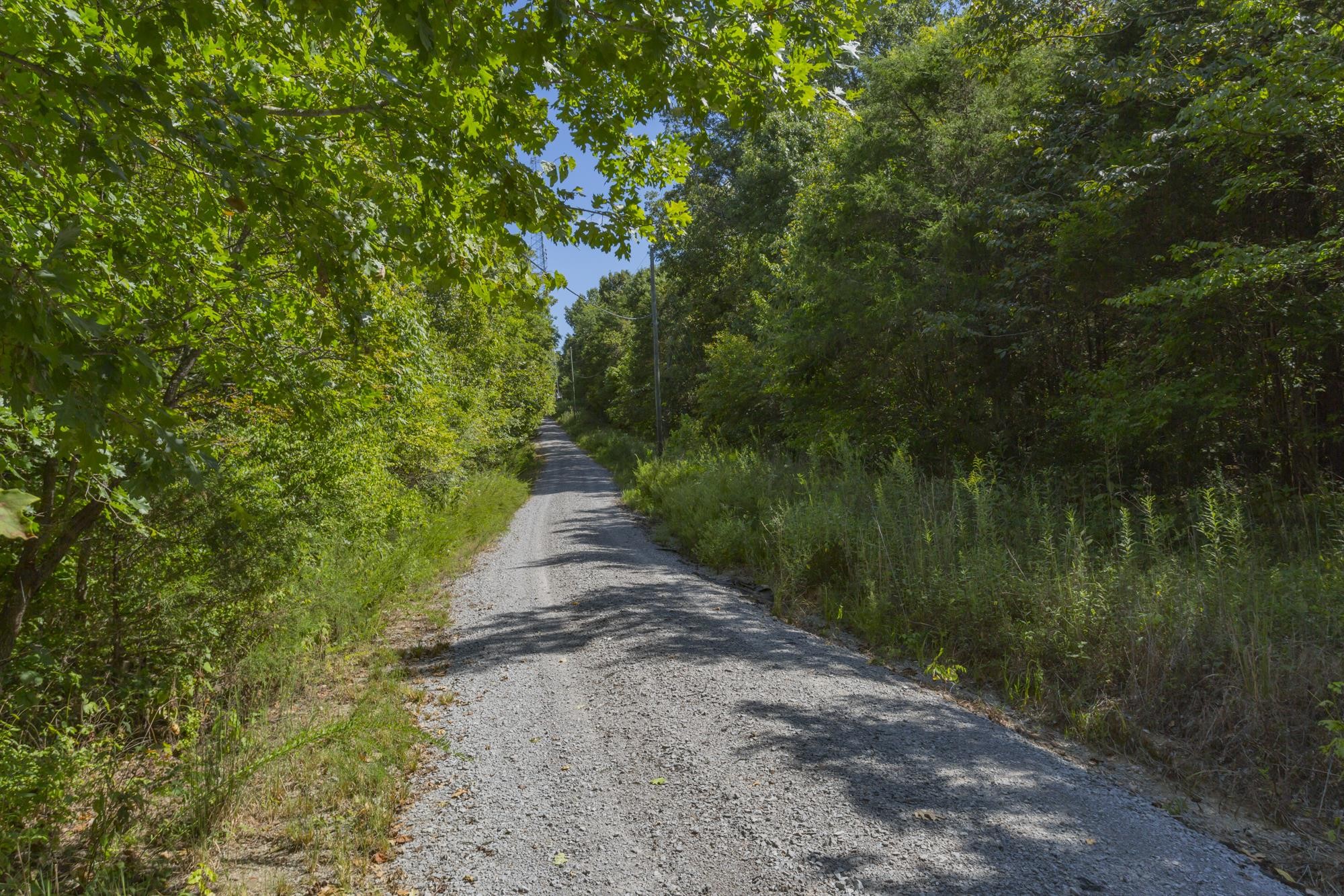 5788 Cane Ridge Rd Property Photo 3