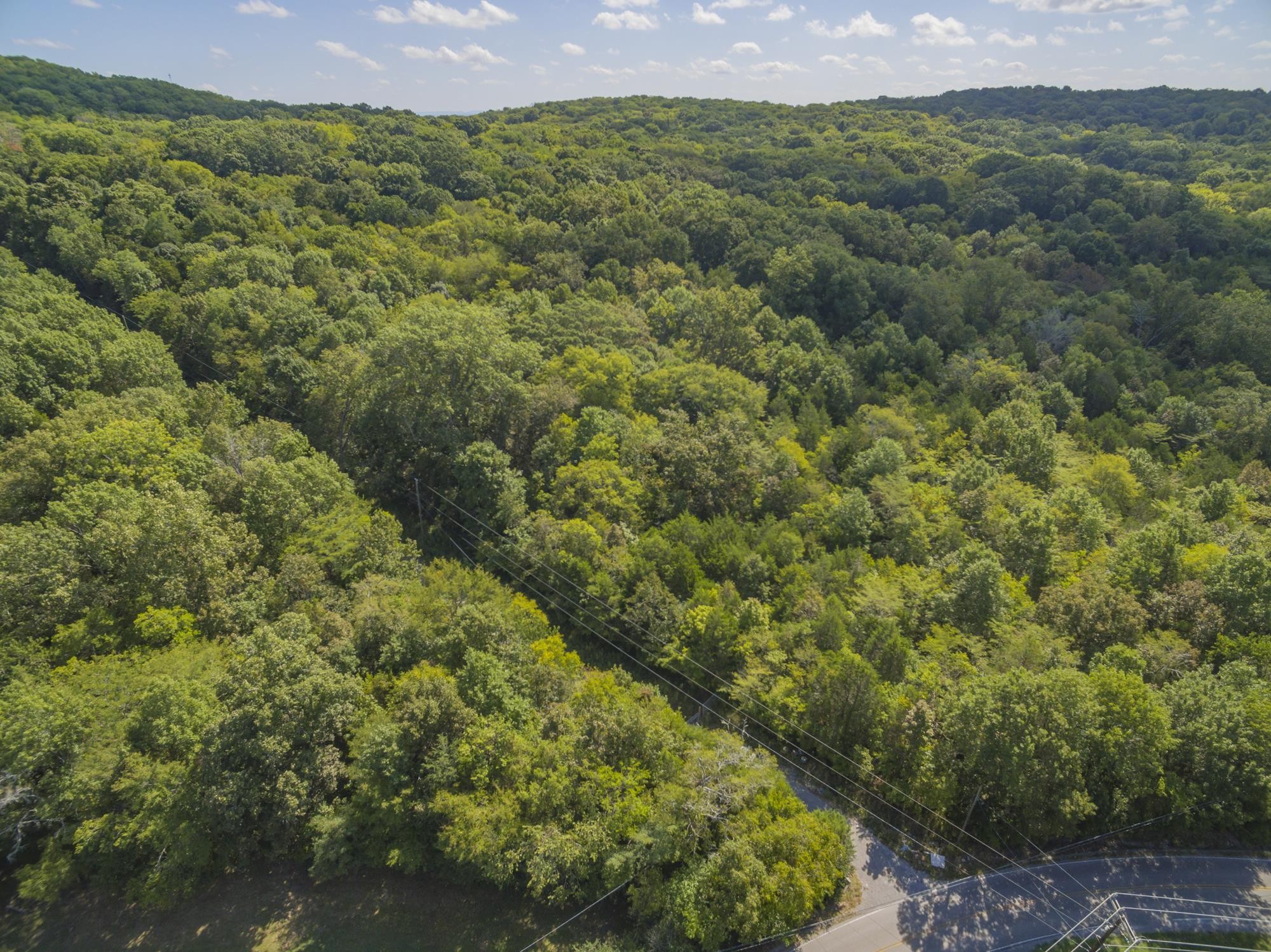 5788 Cane Ridge Rd Property Photo 4
