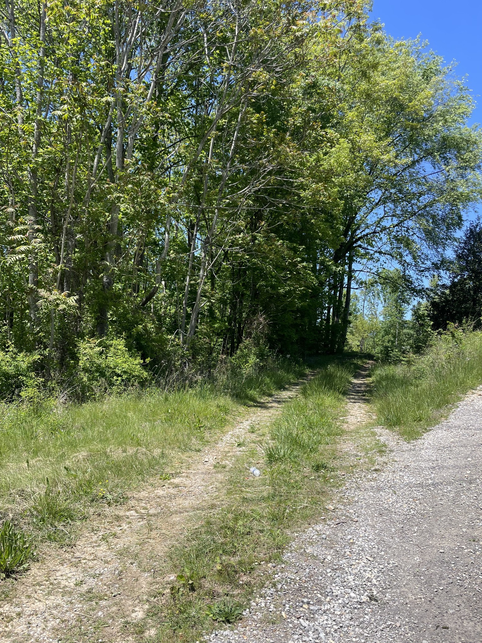0 Highway 52 W Property Photo 2