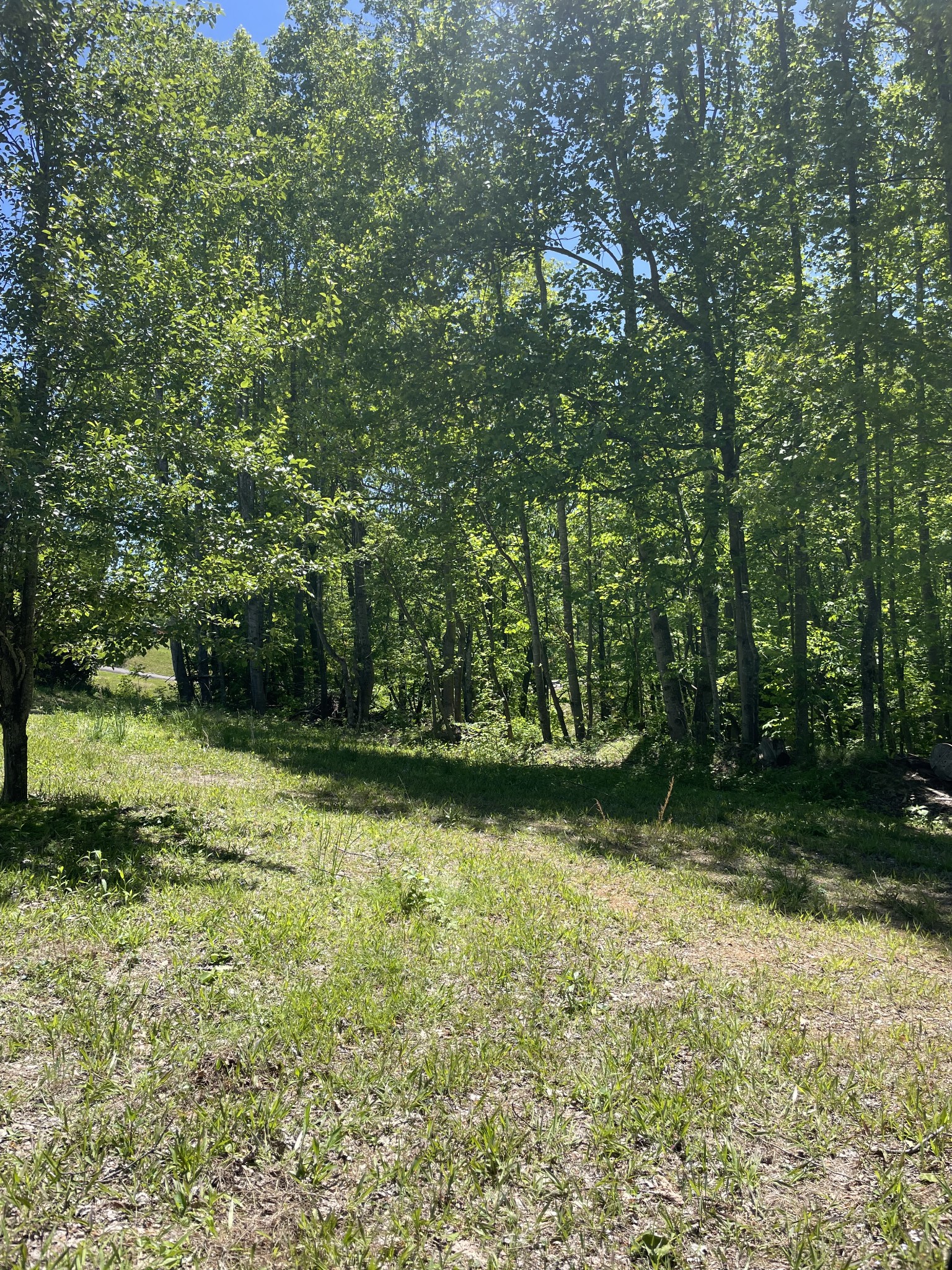 0 Highway 52 W Property Photo 5