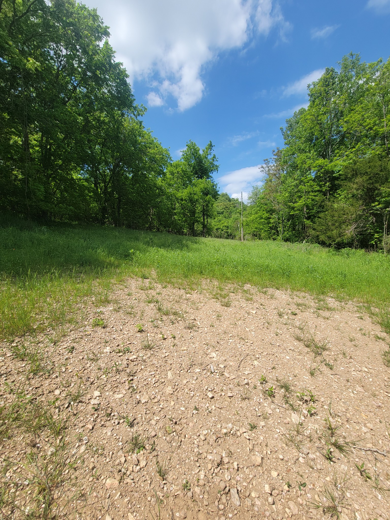 0 Gossburg Road Property Photo 1