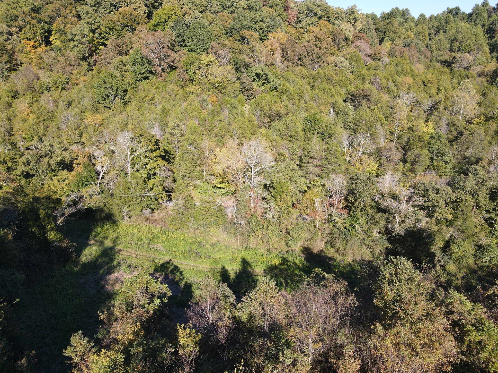 0 Cole Ridge Rd Property Photo 2