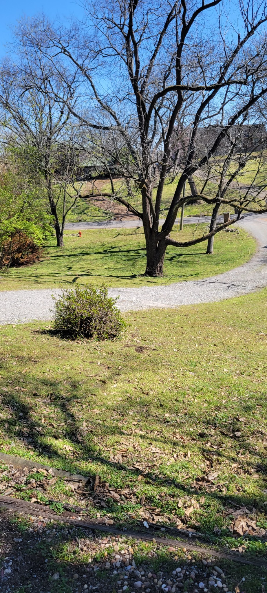 4119 Moss Rose Dr Property Photo 9