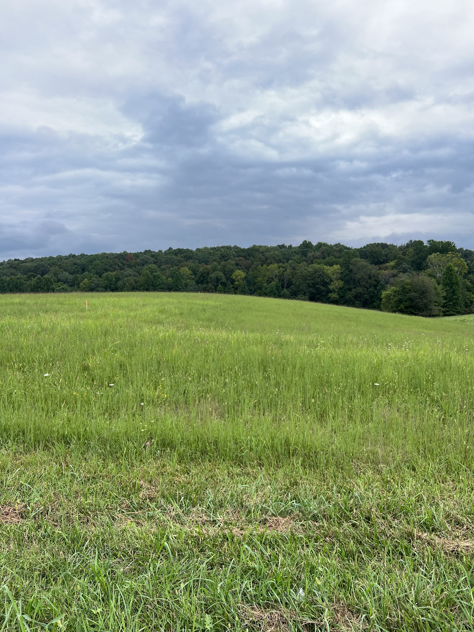 9 Highway 52 Property Photo