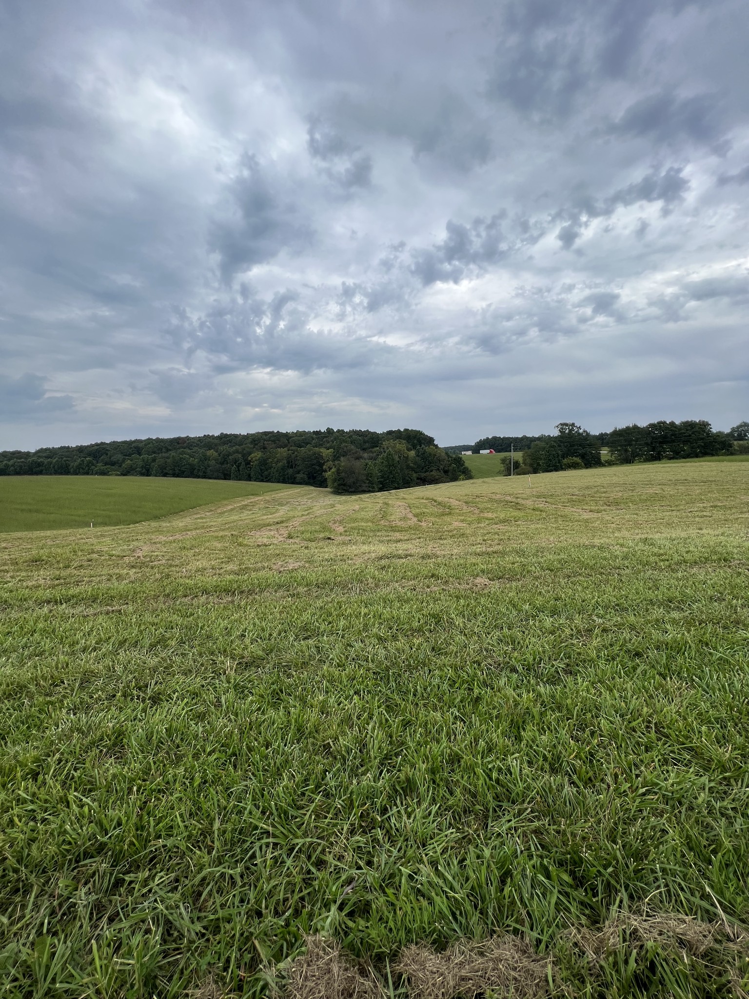 10 Highway 52 Property Photo 1