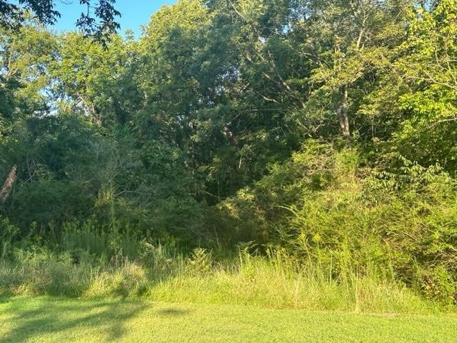 0 Stigall St Property Photo 4