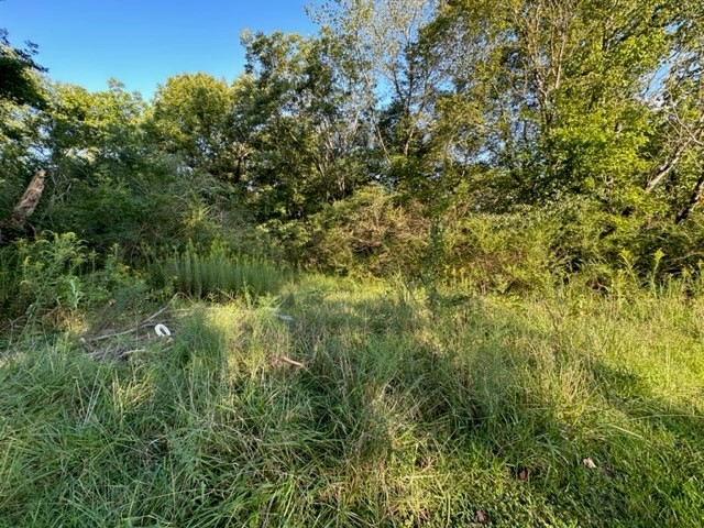 0 Stigall St Property Photo 6