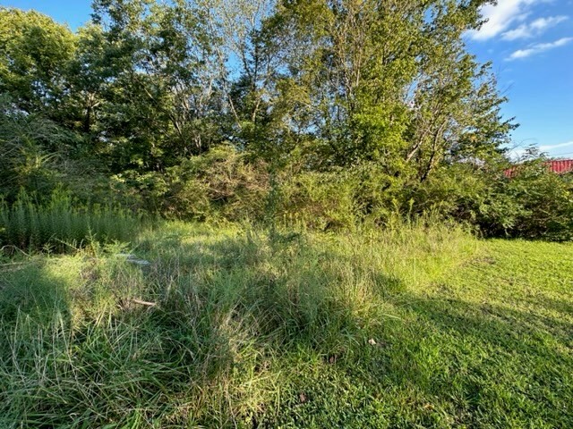 0 Stigall St Property Photo 7