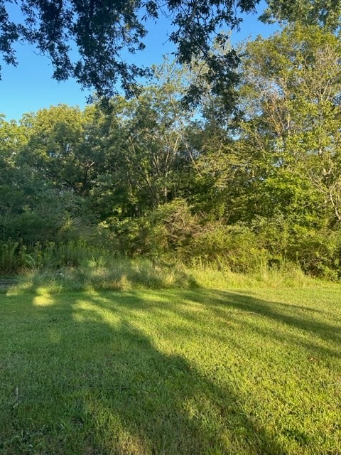 0 Stigall St Property Photo 10