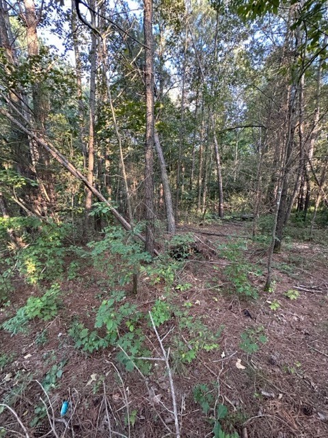 0 Stigall St Property Photo 18