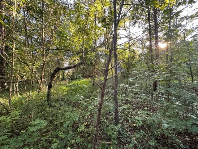 0 Stigall St Property Photo 27