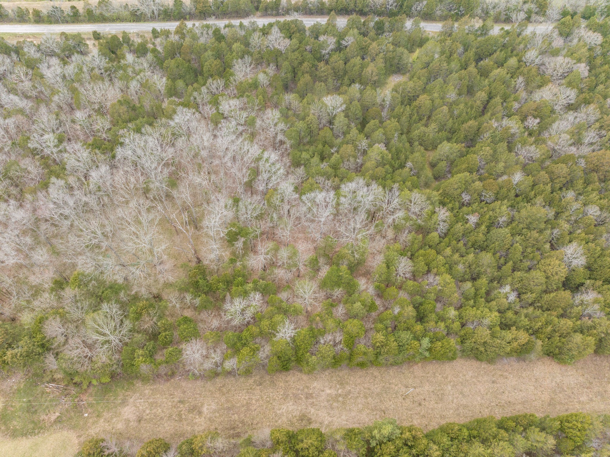0 Owl Hollow Rd Property Photo 19