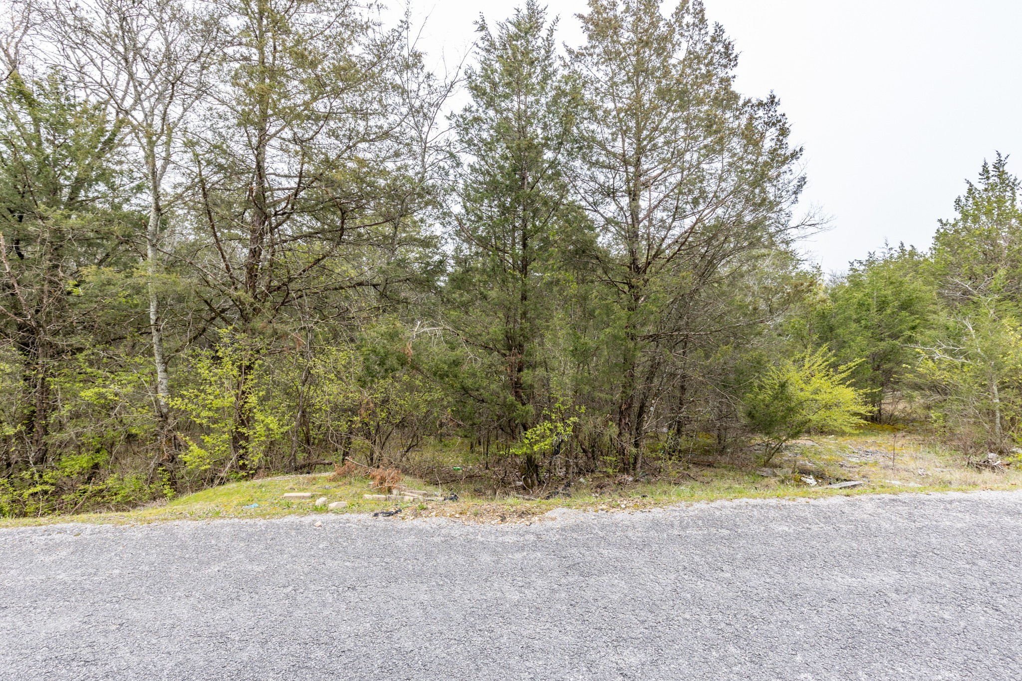 0 Owl Hollow Rd Property Photo 31