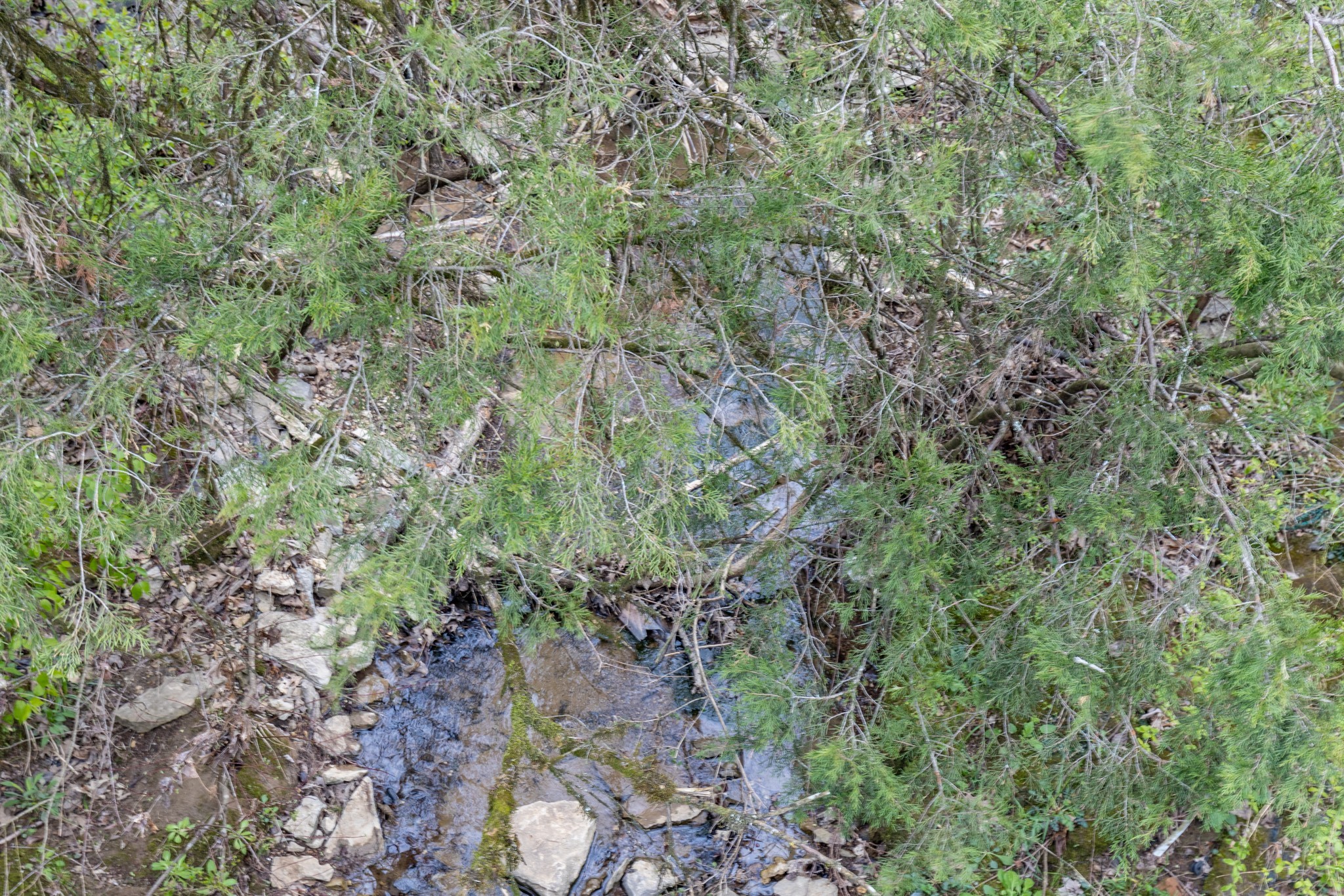 0 Owl Hollow Rd Property Photo 34