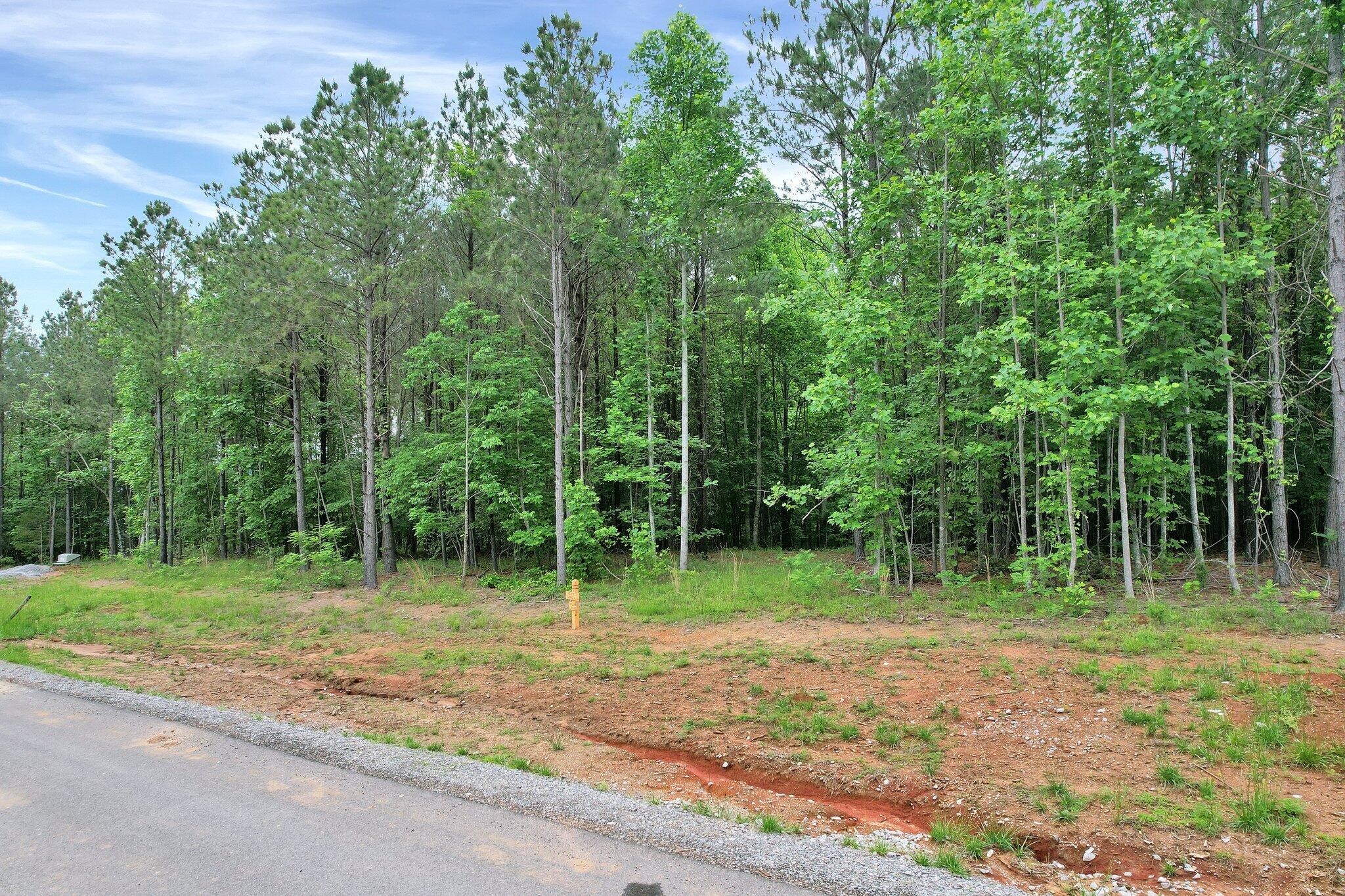 0 Waterwheel Way Property Photo 5