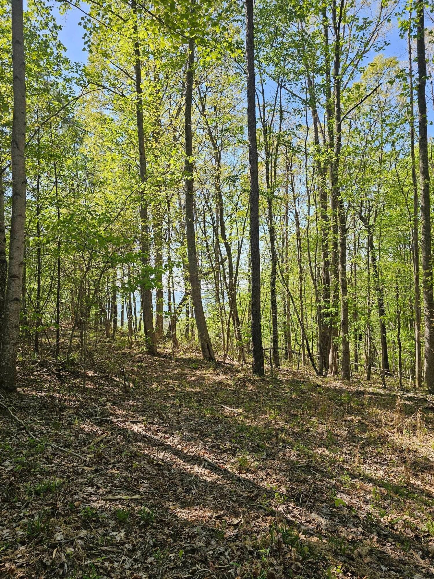 0 Waterwheel Way Property Photo 13