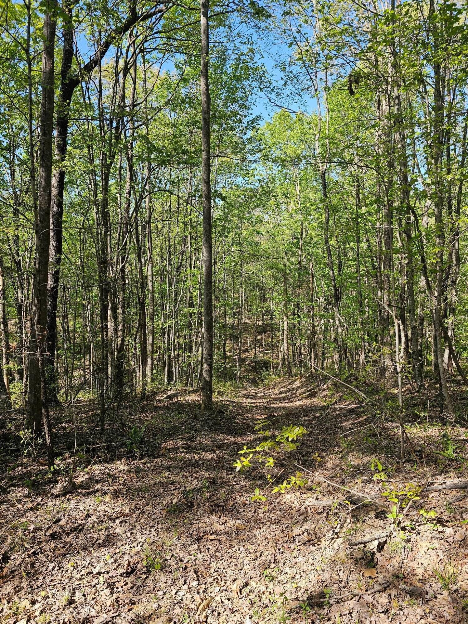 0 Waterwheel Way Property Photo 18