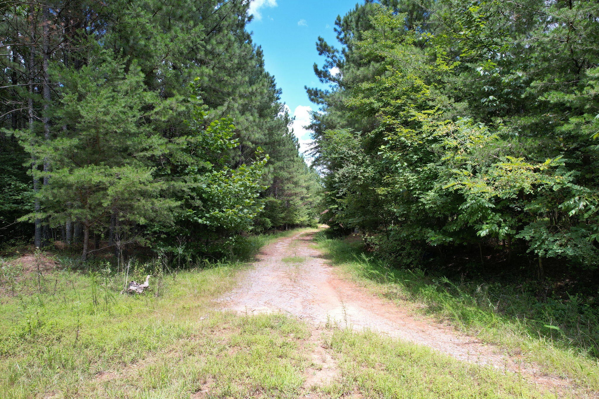 0 Crockett Point Property Photo 10