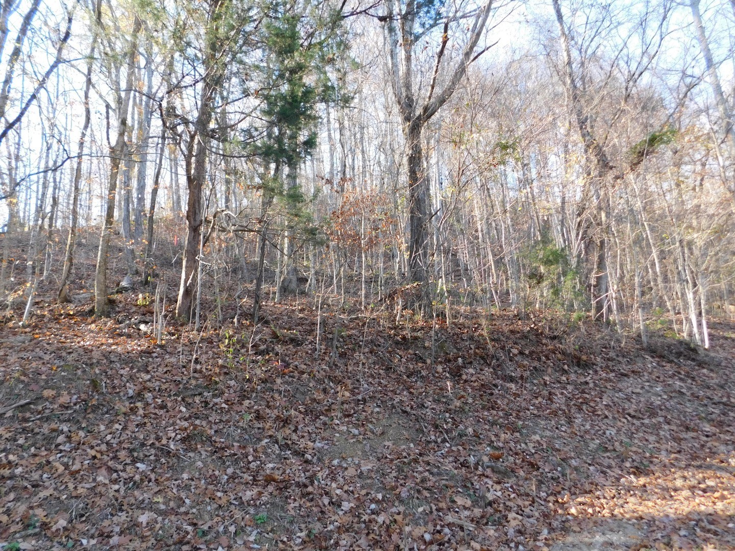 0 Silver Point Shores Property Photo 9