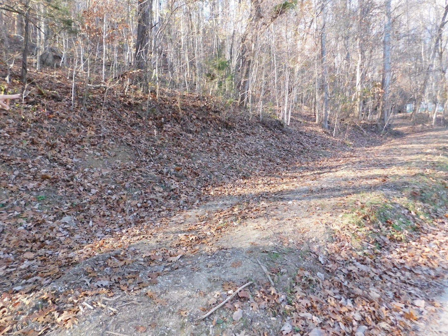 0 Silver Point Shores Property Photo 11
