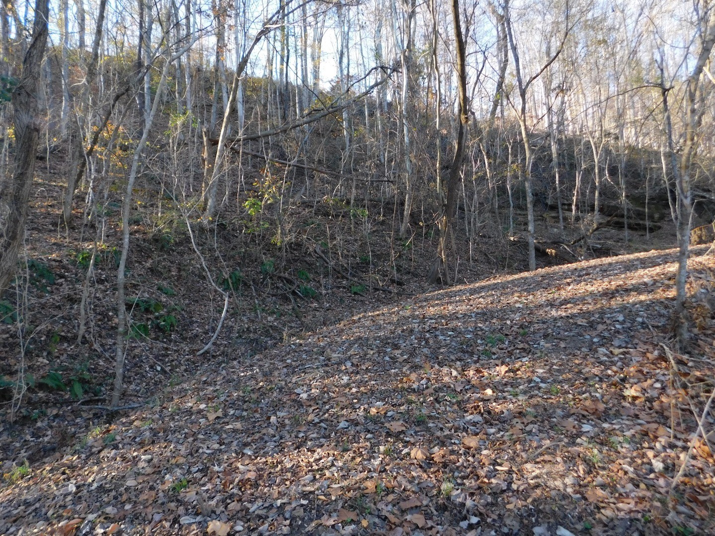 0 Silver Point Shores Property Photo 13