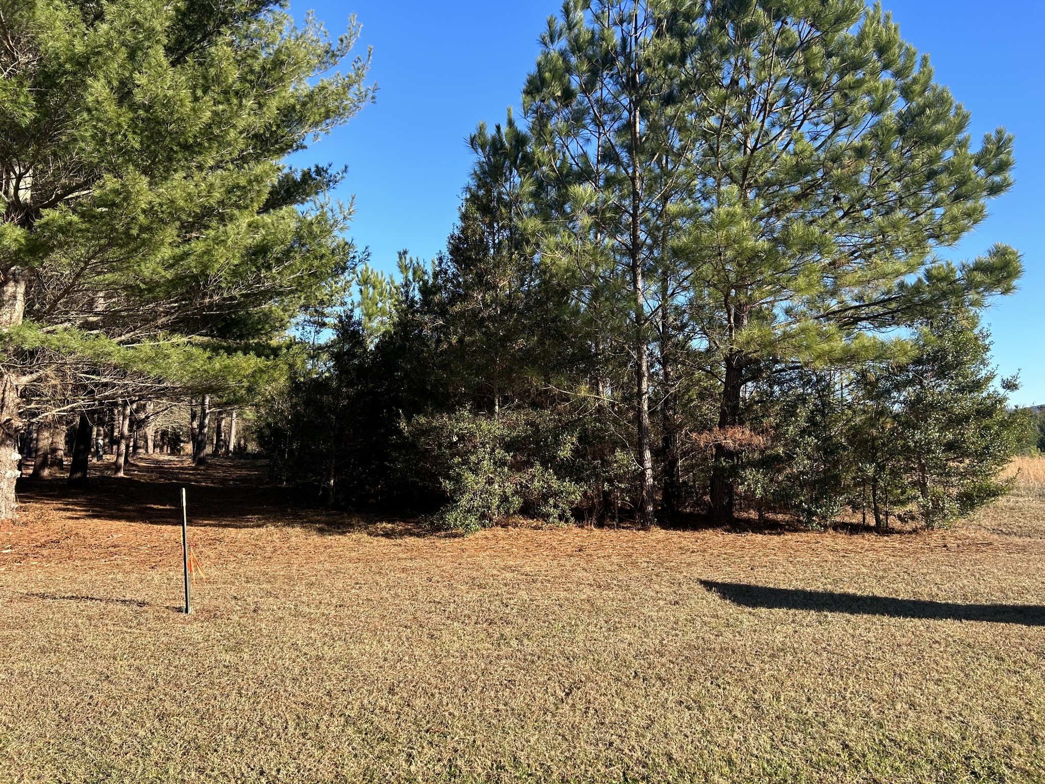 3161 Hickerson Road Property Photo 3