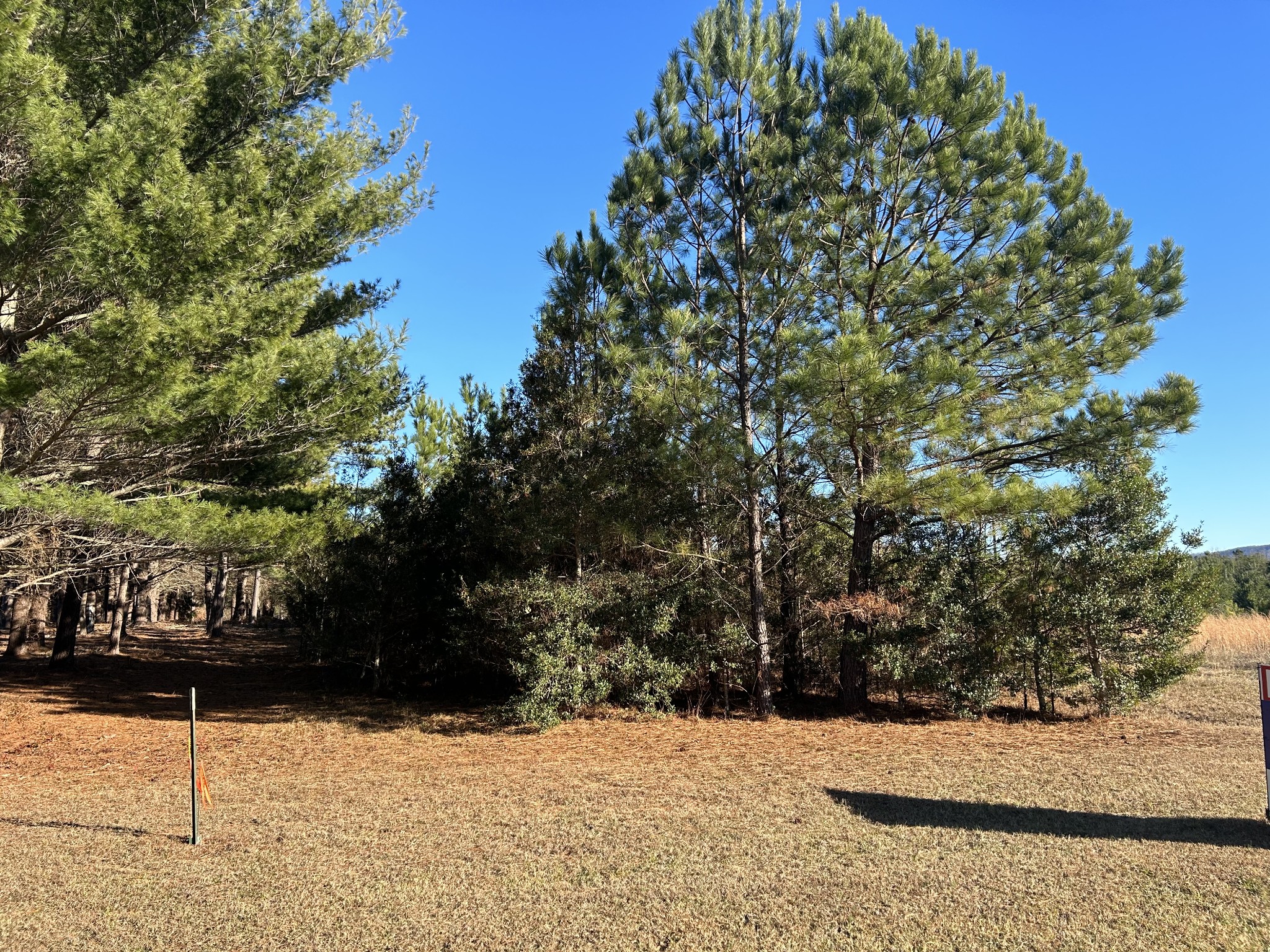 3161 Hickerson Road Property Photo 4