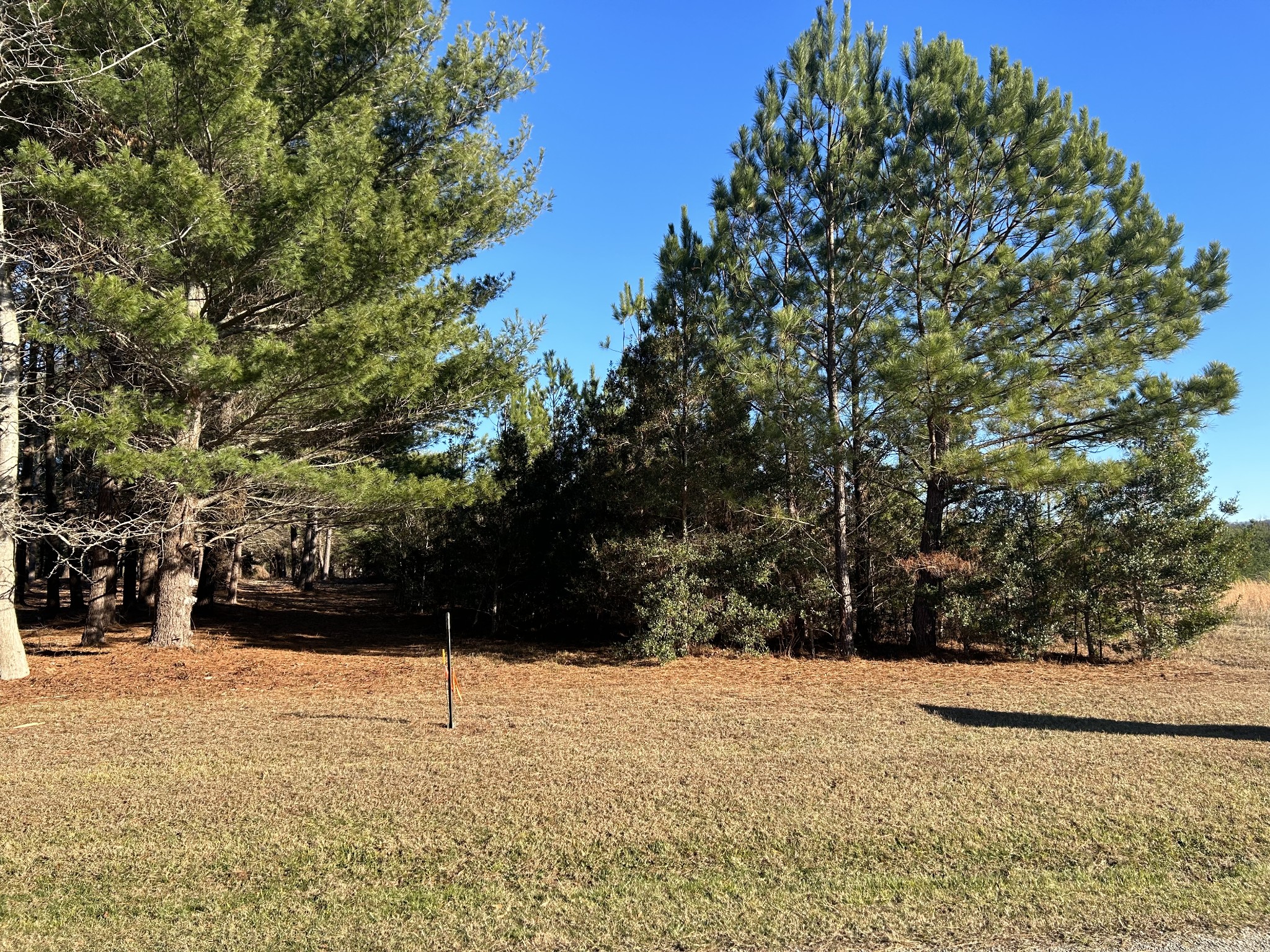 3161 Hickerson Road Property Photo 5
