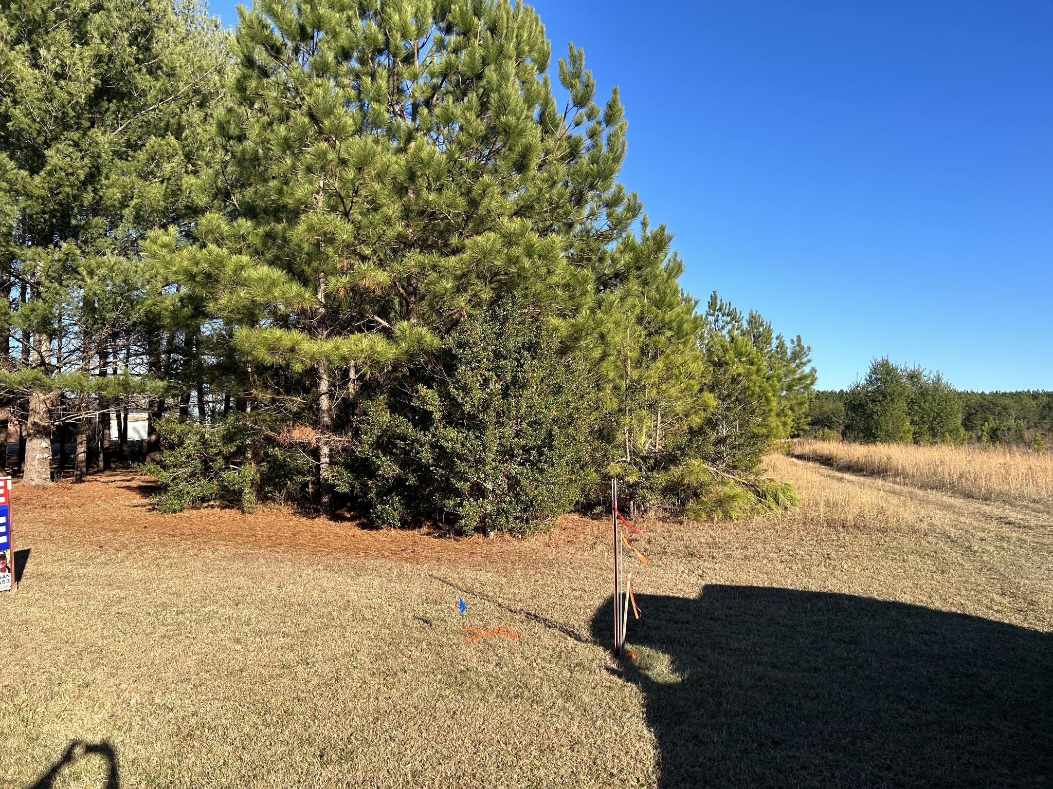 3161 Hickerson Road Property Photo 6