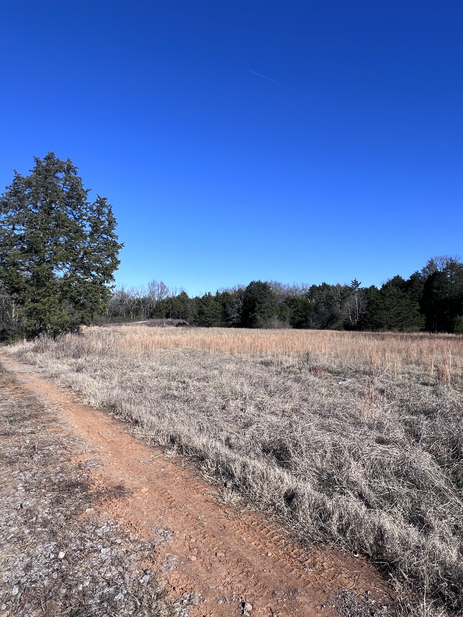 0 Old Nashville Hwy Property Photo 2
