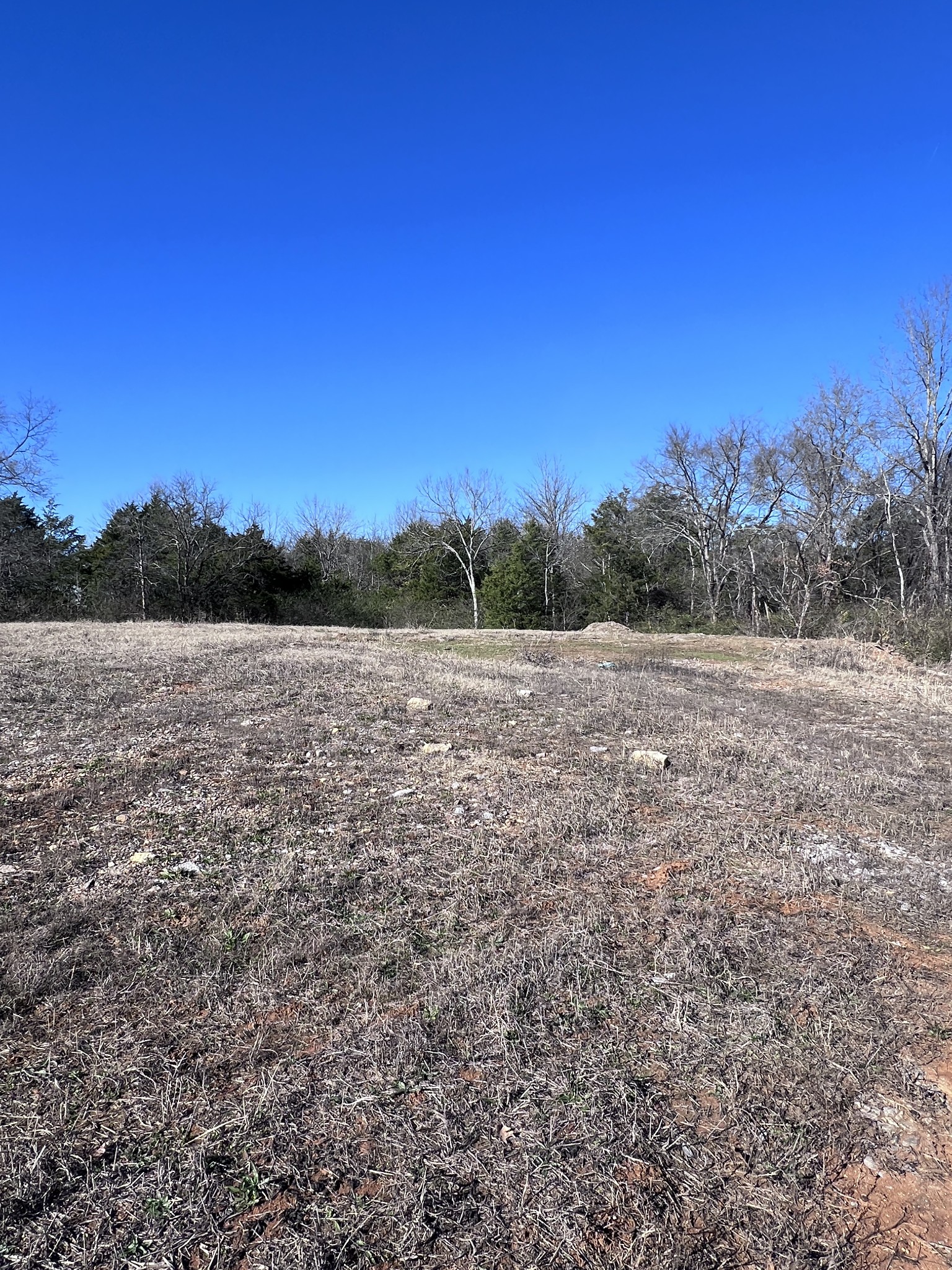 1 Old Nashville Hwy Property Photo 2