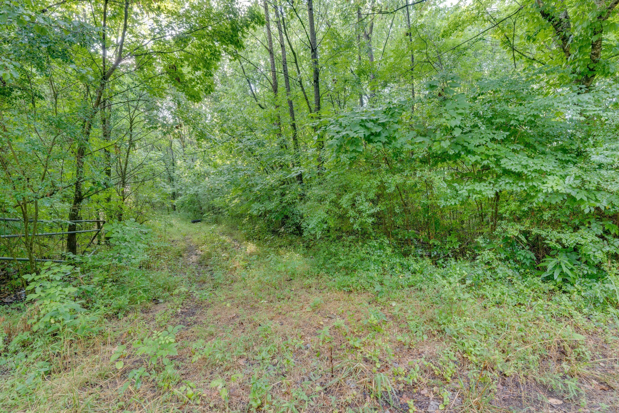 0 Patton Branch Rd Property Photo 1