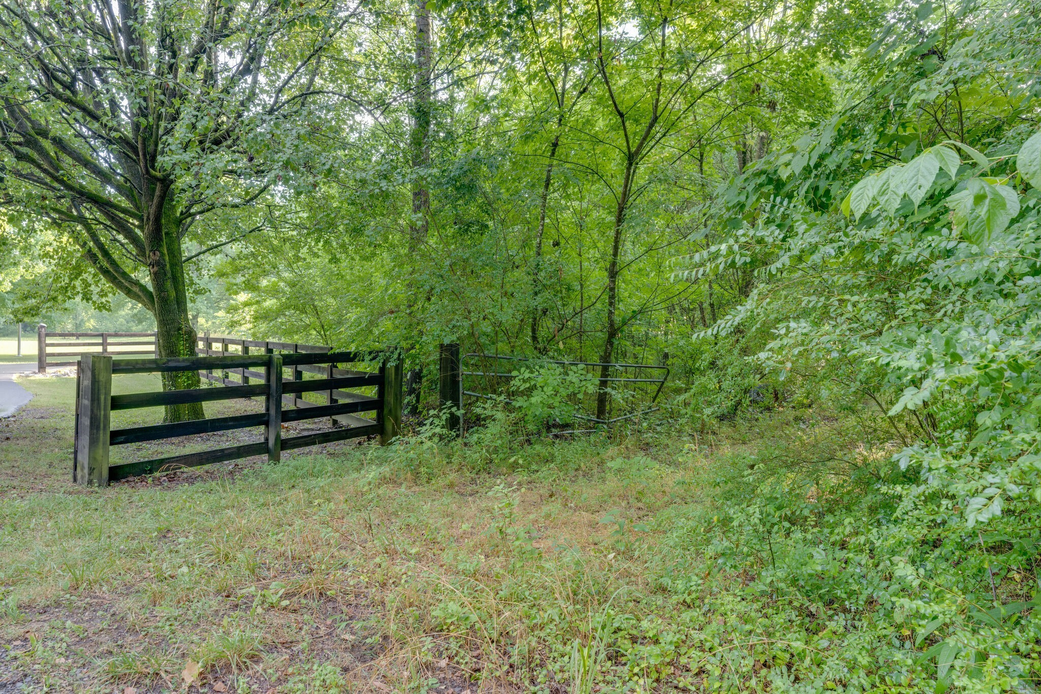 0 Patton Branch Rd Property Photo 3
